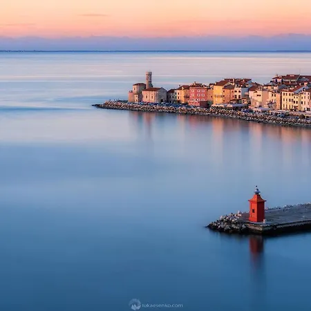 Daire Tartini Exclusive Rooftop Penthouse Piran